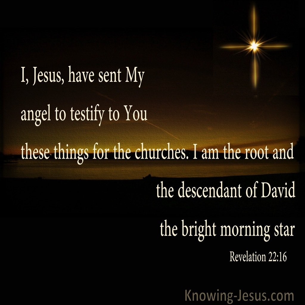 Revelation 22:16 Root And Stem Of David And  Bright Morning Star (black)